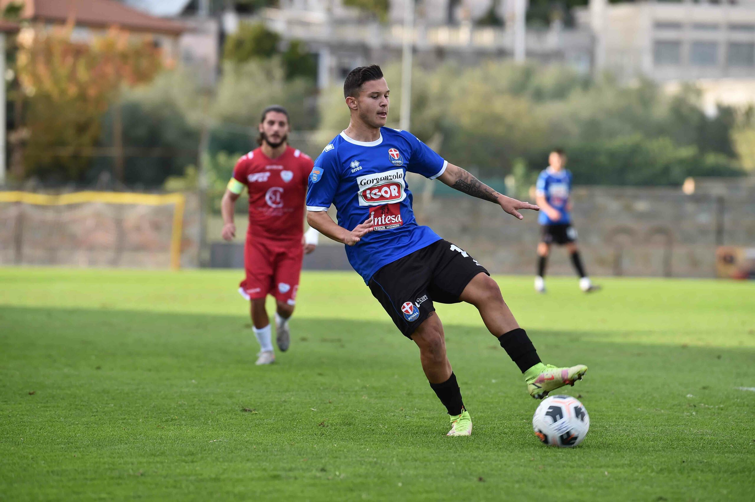 Read more about the article Luca Spina al Leon