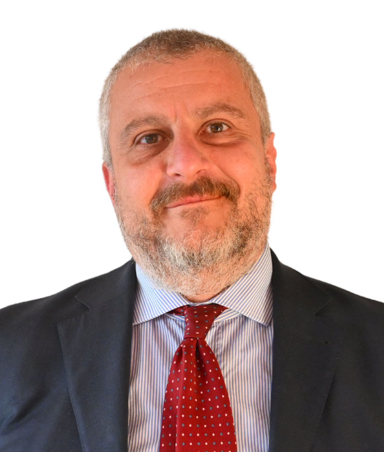 You are currently viewing Massimo Accornero