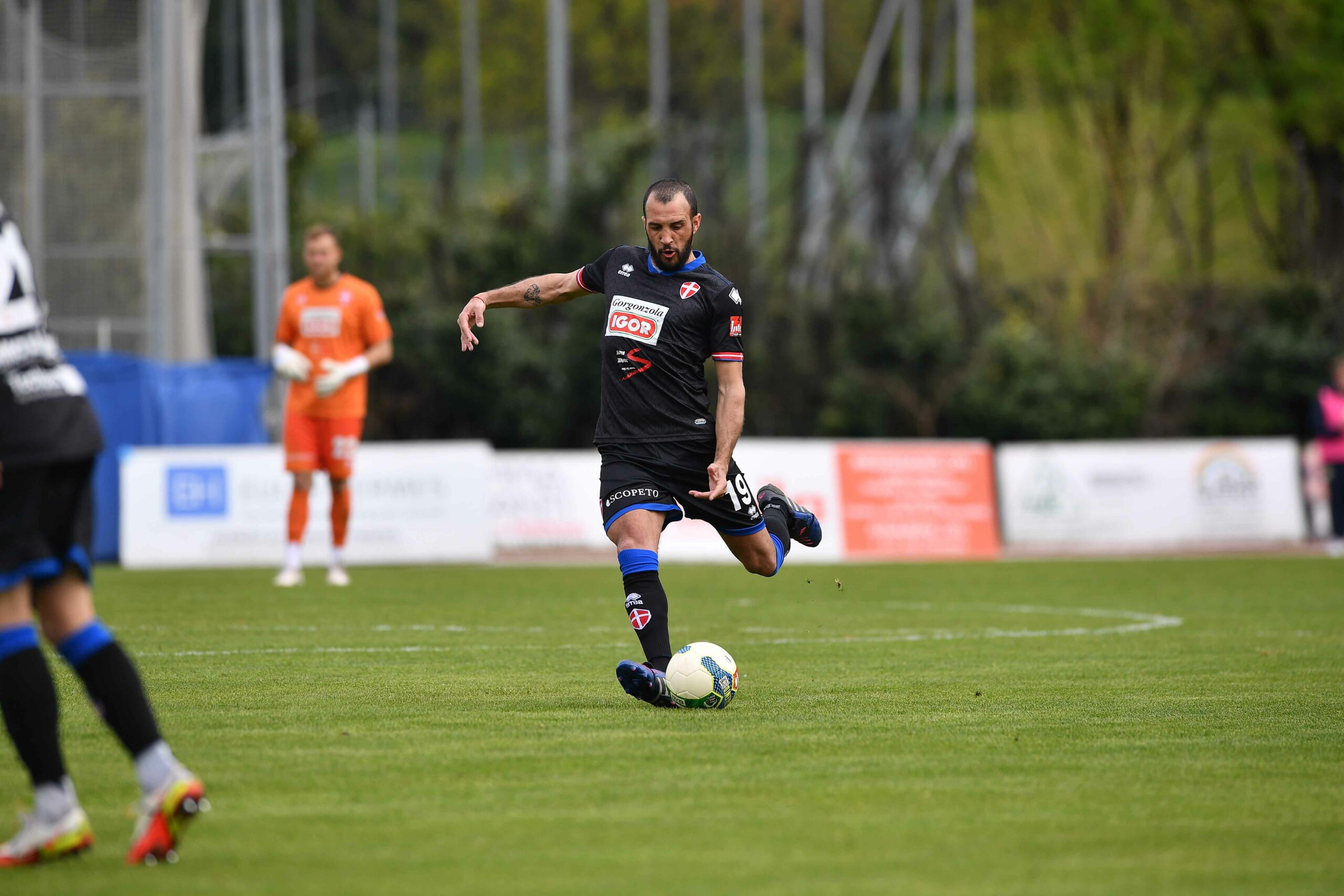 Read more about the article Arzignano VS Novara
