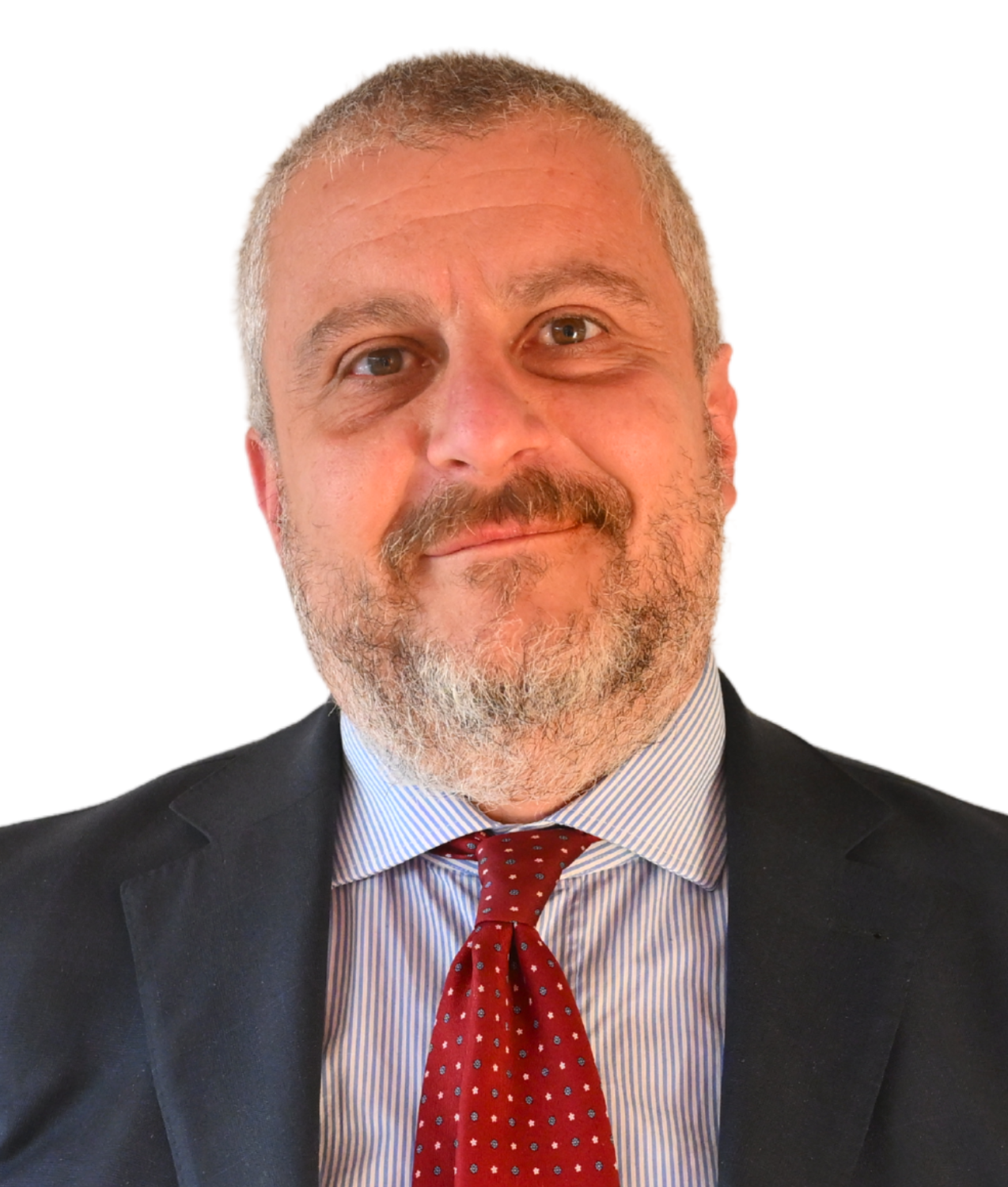 You are currently viewing Massimo Accornero