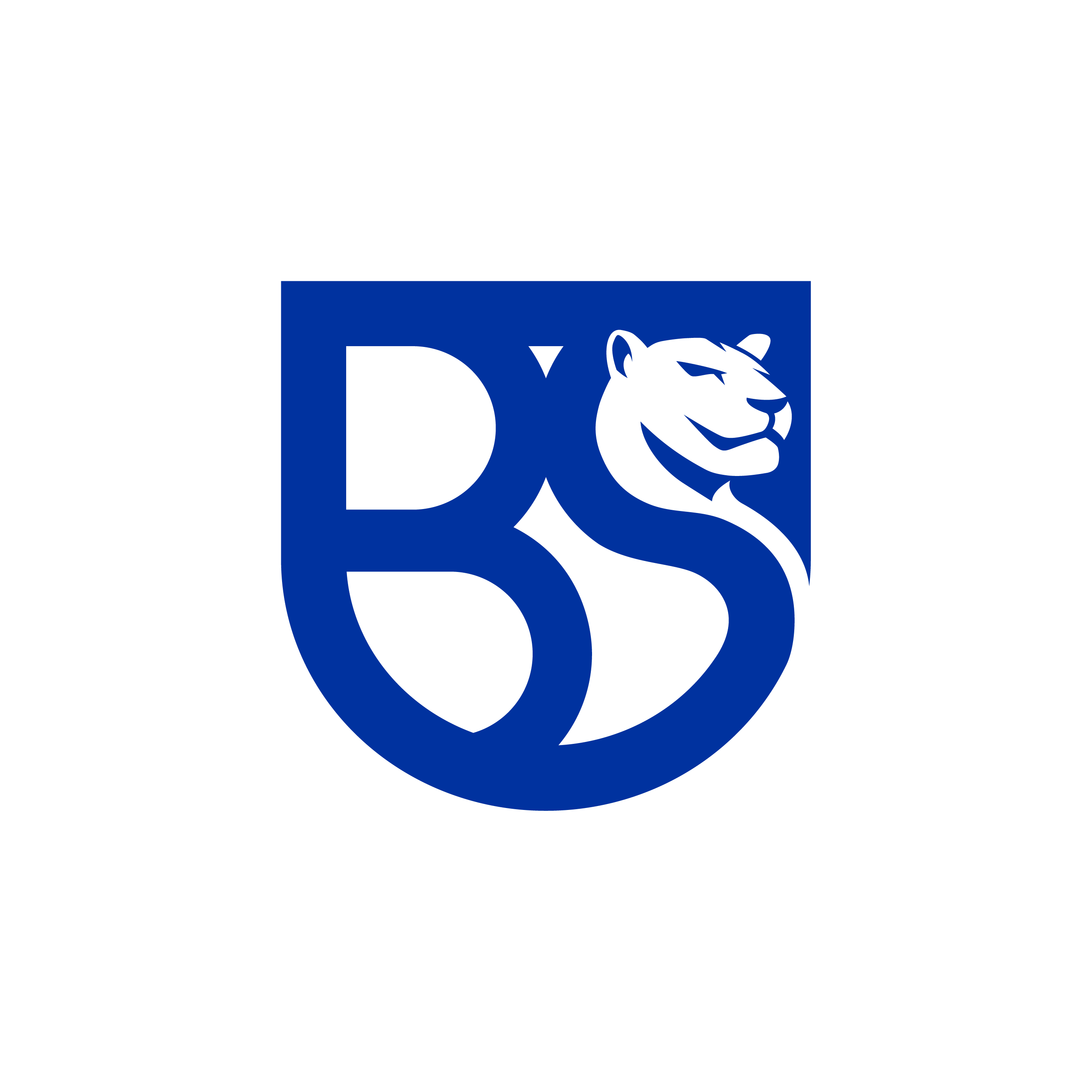 202507015-U_BRESCIA_LOGO_POSITIVO
